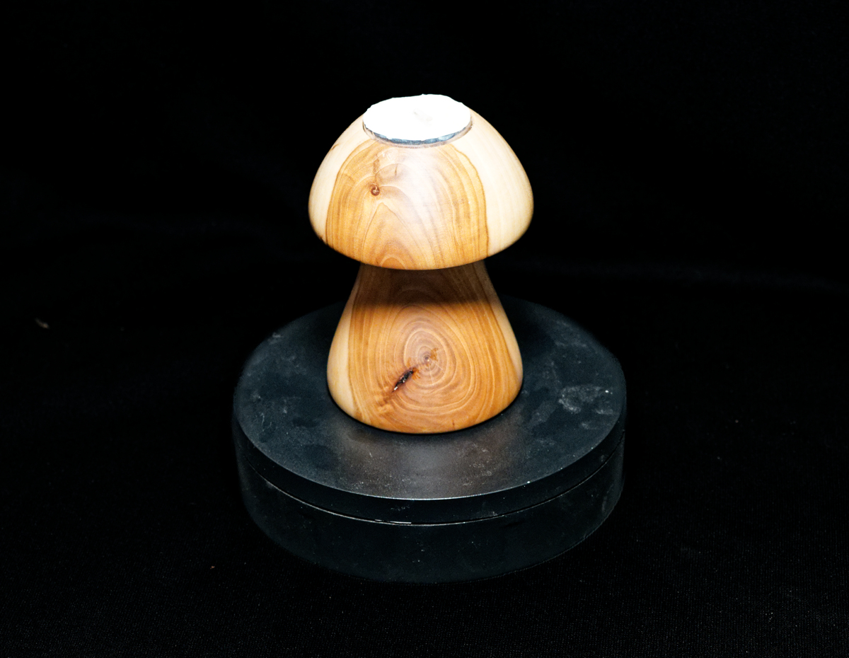 Mushroom tea light # ca01