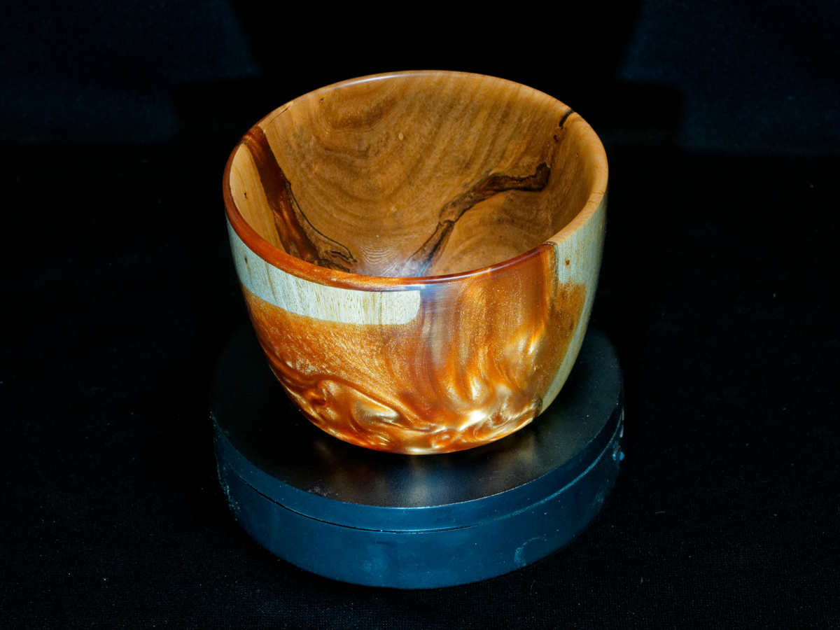 Ficus Bowl with Bronze Resin
