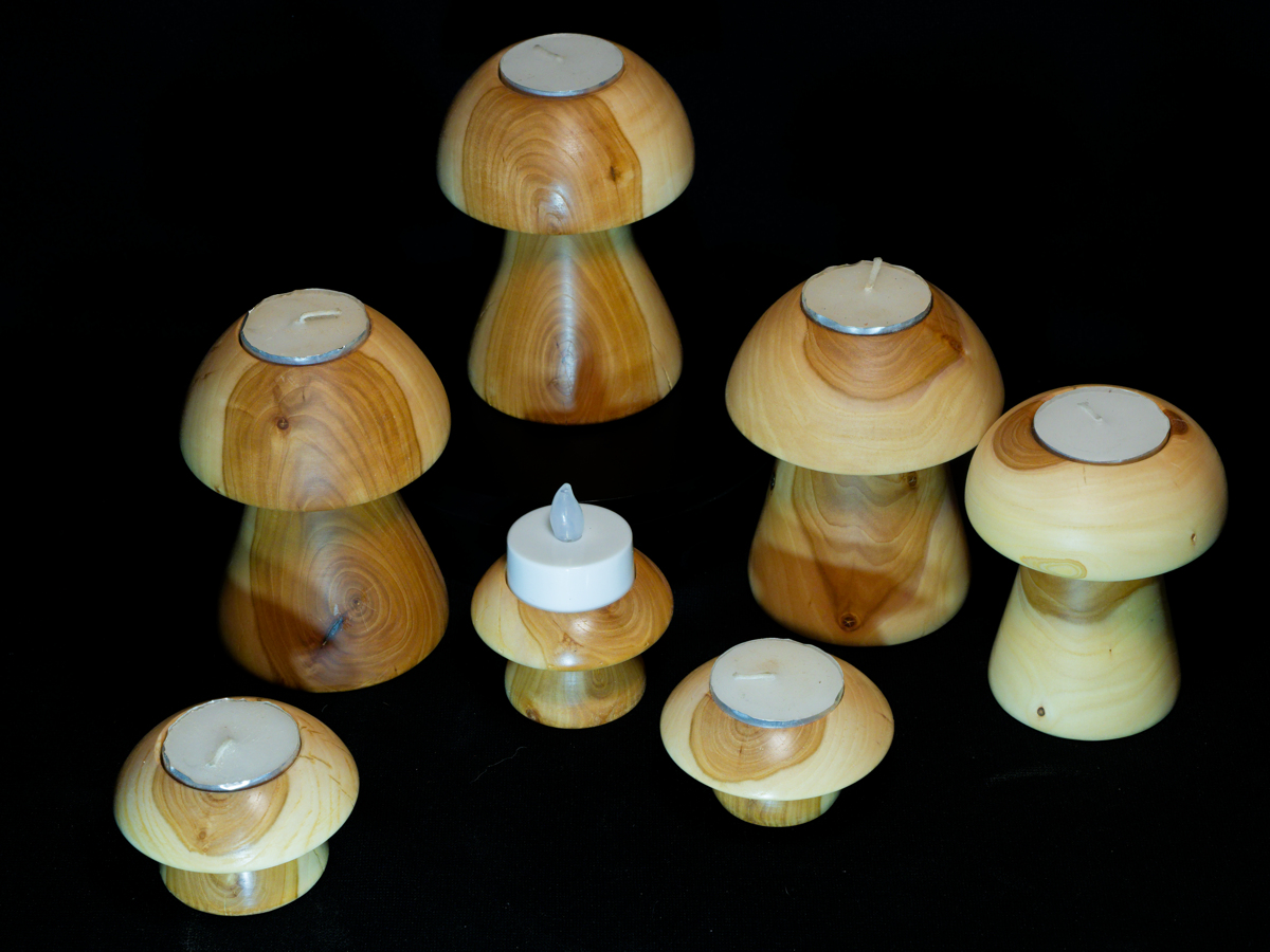 Mushroom tea light collection