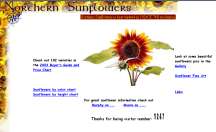 Link to Northern Sunflowers
